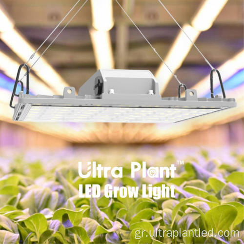 Υψηλής ποιότητας συμπληρωματικό Grow Light Deep Red